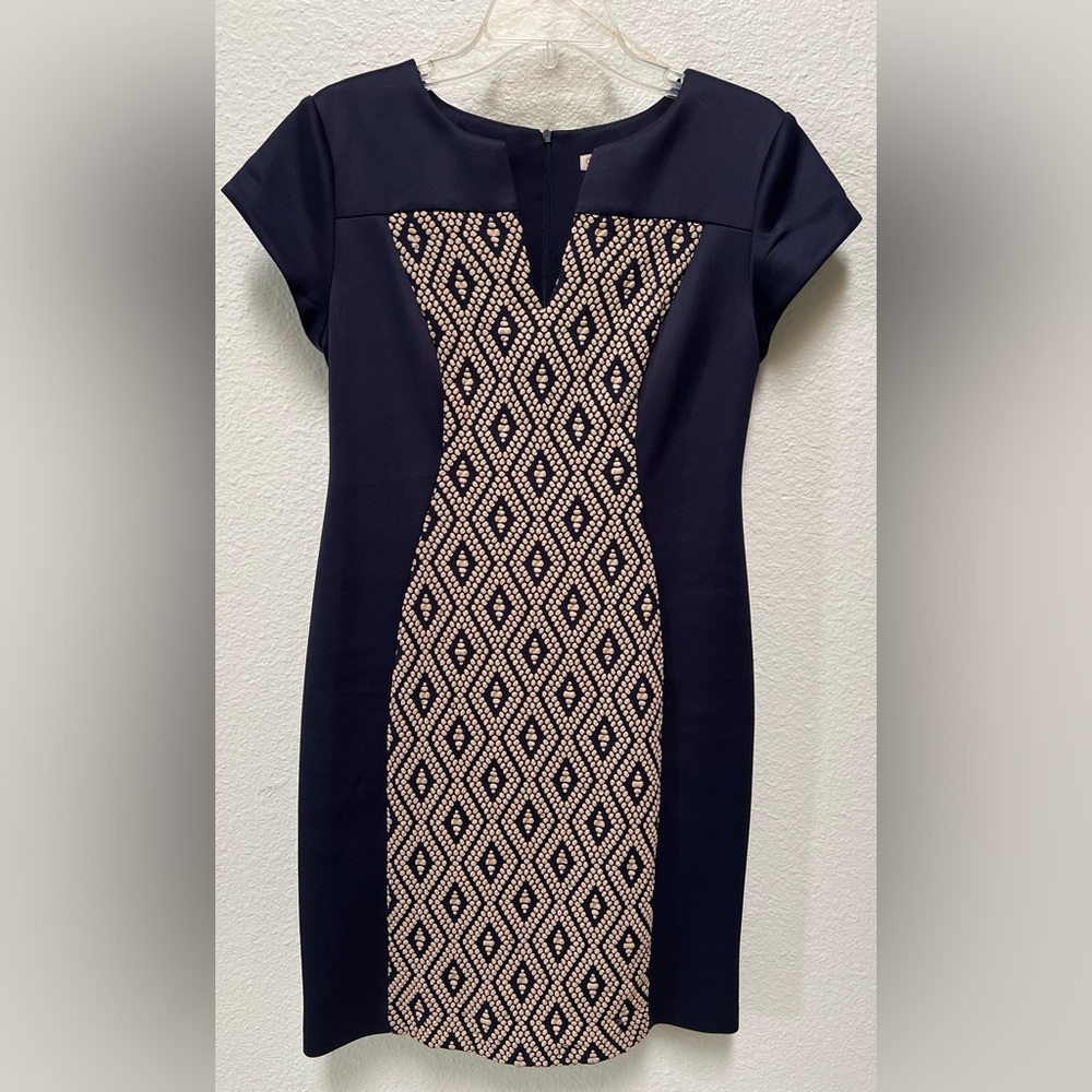 Dress Barn Bodycon Dress